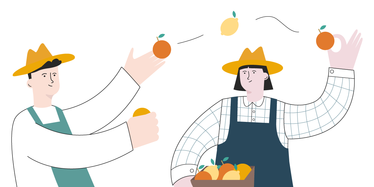 Commande des oranges BIO à d'autres agriculteurs