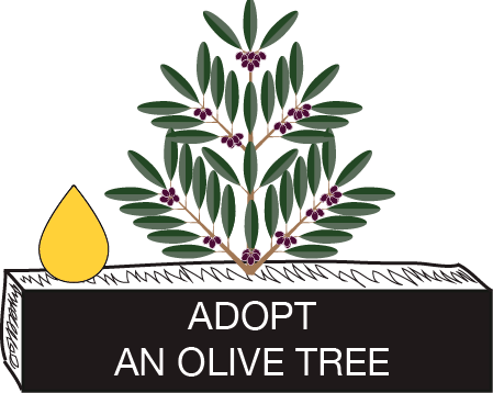 ADOPT AN OLIVE TREE
