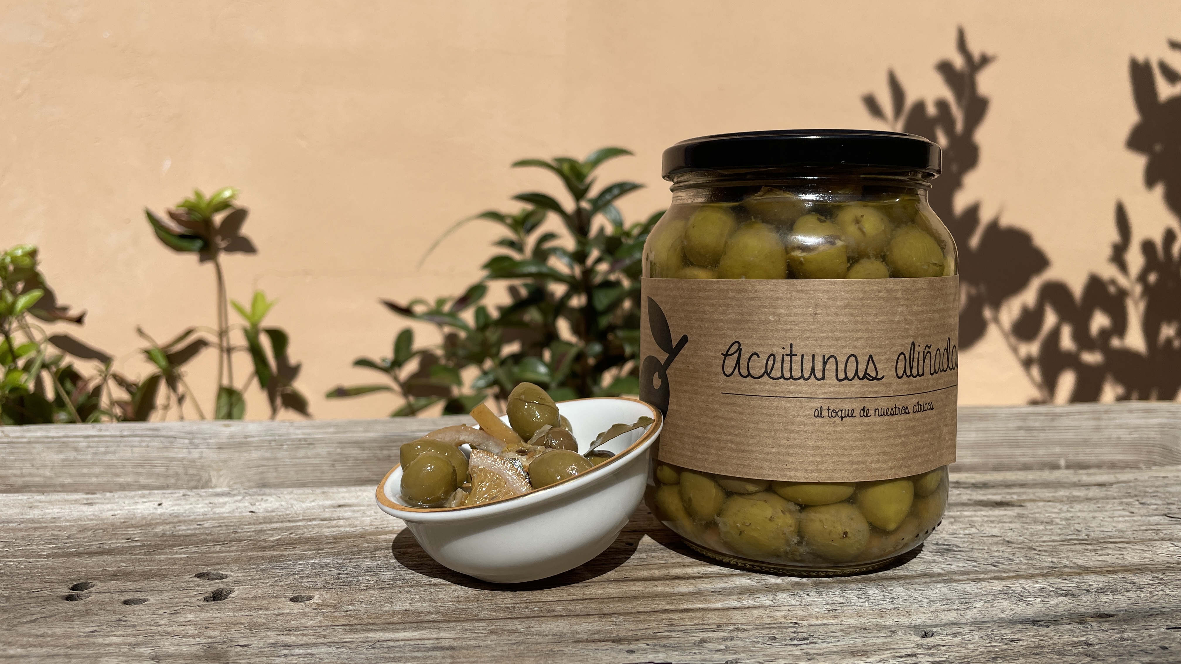 aceitunasalinadas